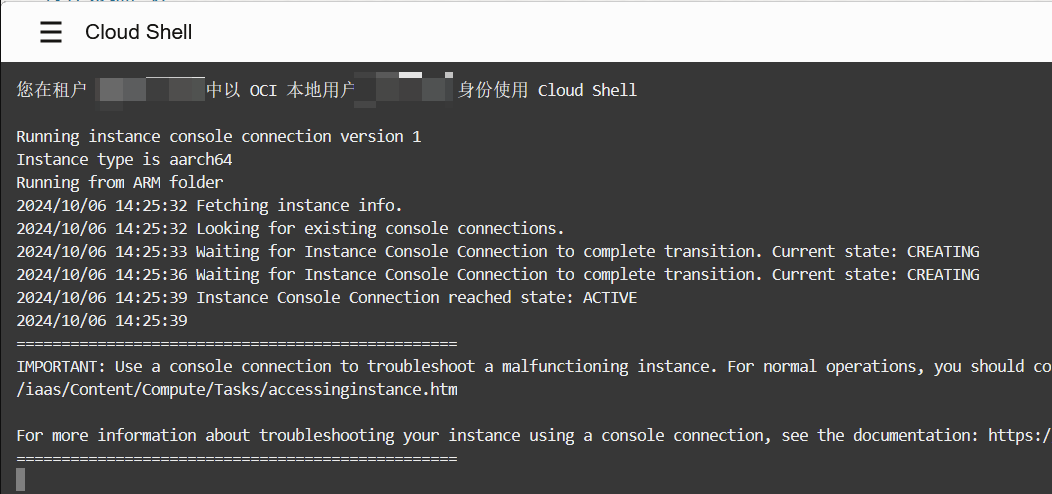 Cloud Shell 终端就位